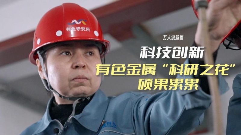 疫情数据可视化：参数配置的关键考量**